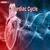 Cardiac Cycle: Definition, Diagram, Steps and Facts